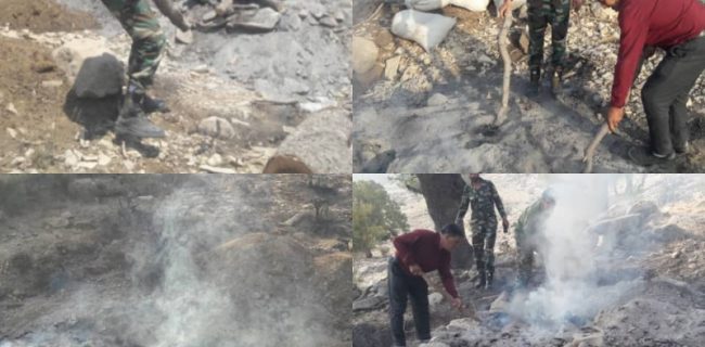کشف کوره زغالی غیرمجاز در شهرستان کوه چنار