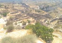 پیگیری و بررسی خسارت وارده به باغات دیم روستای دوسیران بر اثر آتش سوزی