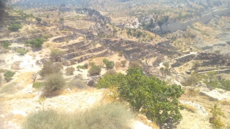 پیگیری و بررسی خسارت وارده به باغات دیم روستای دوسیران بر اثر آتش سوزی