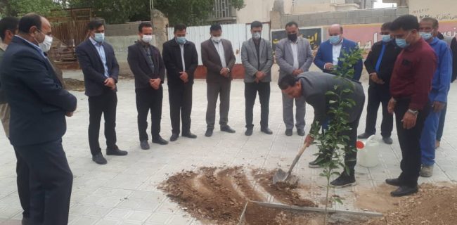 کاشت چندین اصل نهال درخت در پیاده رو بلوار امام خمینی (ره) شهر نودان
