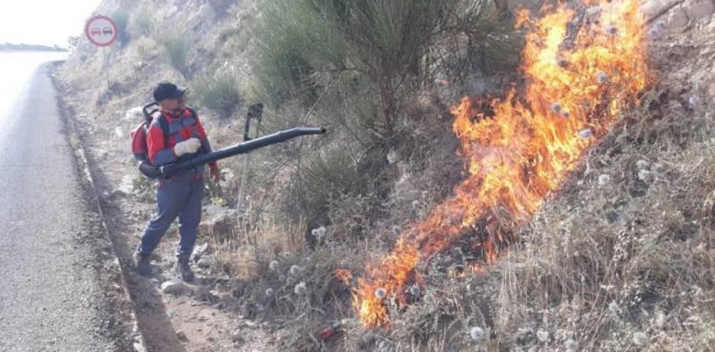 اجرای آتش بر در نقاط حساس جنگلی شهرستان کوهچنار