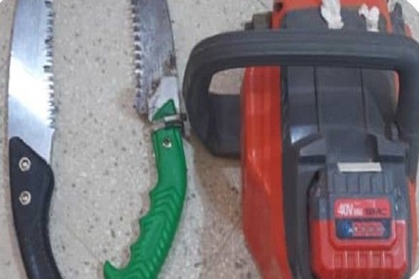 دستگیری عاملین قطع درختان جنگلی در کوه چنار