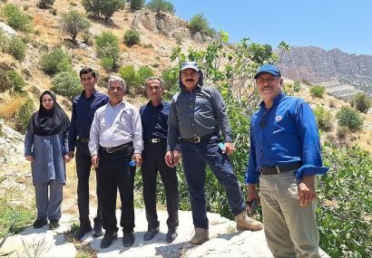 بازدید کارشناسان جهاد کشاورزی استان فارس از جاده‌های بین‌باغی بخش کوهمره نودان